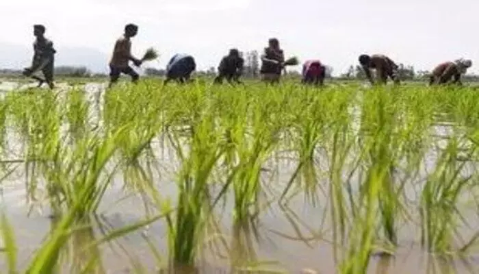 Budget-2025: ఈసారి బడ్జెట్లో వ్యవసాయ రంగానికి ఆరేళ్లలోనే అత్యధిక కేటాయింపులు Budget-2025: ఈసారి బడ్జెట్లో వ్యవసాయ రంగానికి ఆరేళ్లలోనే అత్యధిక కేటాయింపులు