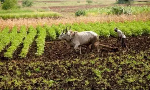 Budget 2025: ఈ బడ్జెట్‎లో రైతులకు శుభవార్త?.. రూ. 5లక్షల రుణం.. కేంద్రం అదిరిపోయే బహుమతి