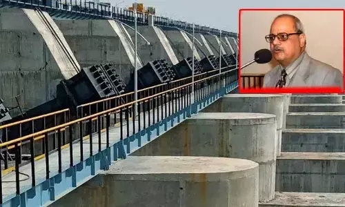 Kaleswaram: నవయుగ సంస్థపై కాళేశ్వరం కమిషన్ తీవ్ర అసనహం
