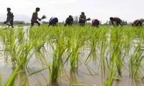 Budget-2025: ఈసారి బడ్జెట్‌లో వ్యవసాయ రంగానికి ఆరేళ్లలోనే అత్యధిక కేటాయింపులు