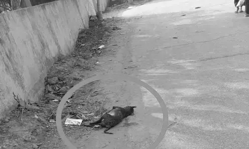 పడకేస్తోన్న పారిశుధ్యం..!