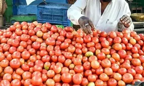 Tomatos Price : టమాటా రైతులకు కన్నీళ్ళు.. కేజీ రూ.4