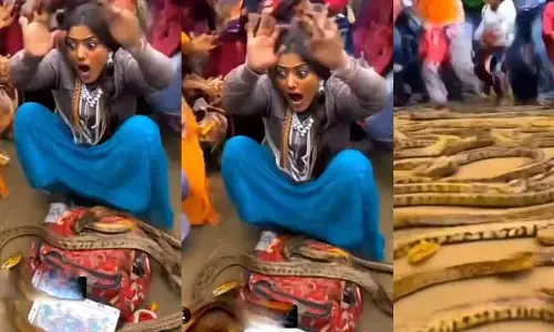 Viral Video: మోనాలిసాను భయపెట్టిన వందలకొద్ది పాములు.. వీడియో చూస్తే షాక్ అవ్వాల్సిందే..!