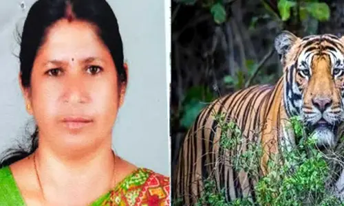 Kerala : అటవీ అధికారుల నిర్లక్ష్యం.. పులి దాడిలో మహిళ మృతి