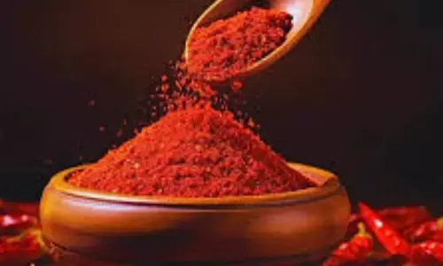 Chilli Powder: ఆ కారం పొడి ప్యాకెట్‌ వాడే వారికి అలెర్ట్.. FSSAI ఈ ప్రొడక్ట్‌ను ఎందుకు వెనక్కి పంపింది?