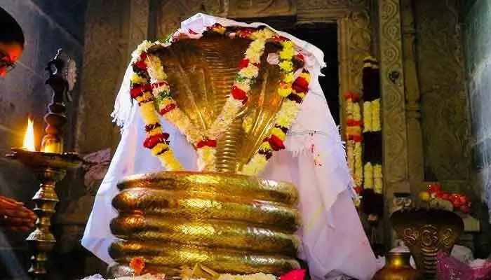 దేశంలోనే రెండో అతిపెద్ద జాతర.. తెలంగాణ సంస్కృతి ఉట్టిపడేలా ఏర్పాట్లు దేశంలోనే రెండో అతిపెద్ద జాతర.. తెలంగాణ సంస్కృతి ఉట్టిపడేలా ఏర్పాట్లు