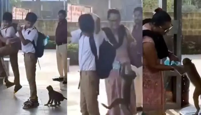 Viral Video : దాహంతో అల్లాడిన కోతి ఏం చేసిందో తెలుసా..? వీడియో వైరల్ Viral Video : దాహంతో అల్లాడిన కోతి ఏం చేసిందో తెలుసా..? వీడియో వైరల్