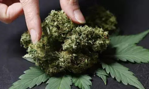 Cannabis Seize: నగరంలో పోలీసుల తనిఖీలు.. విదేశీ గంజాయి సీజ్, ఒకరు అరెస్ట్