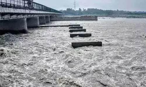 యమునా నీటి నాణ్యత రిపోర్ట్స్ సమర్పించండి : ఈసీఐ