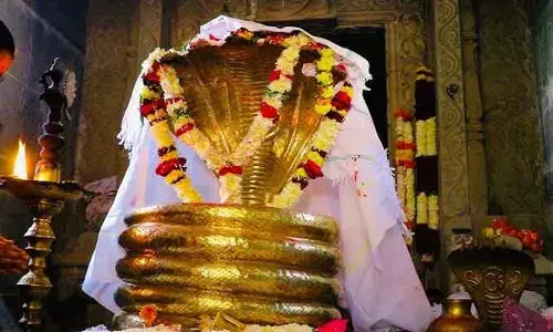 దేశంలోనే రెండో అతిపెద్ద జాతర.. తెలంగాణ సంస్కృతి ఉట్టిపడేలా ఏర్పాట్లు