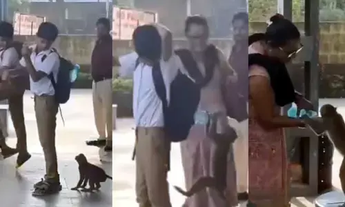 Viral Video : దాహంతో అల్లాడిన కోతి ఏం చేసిందో తెలుసా..? వీడియో వైరల్