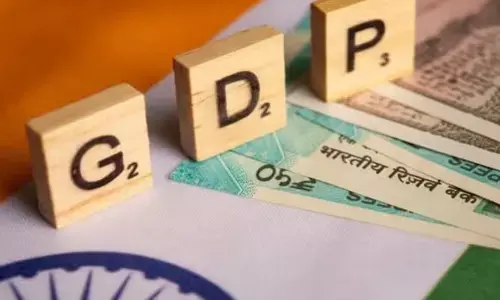 Budget-2025: కేంద్ర బడ్జెట్‌లో ఉద్యోగాల కల్పనకు ప్రభుత్వం ప్రాధాన్యమివ్వాలి: దేశీయ కంపెనీలు