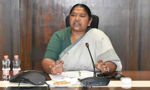 Seethakka:ఫిబ్రవరి 1 నుంచి 10 వరకు సమ్మర్ స్పెషల్ డ్రైవ్.. అదికారులకు మంత్రి సీతక్క ఆదేశాలు