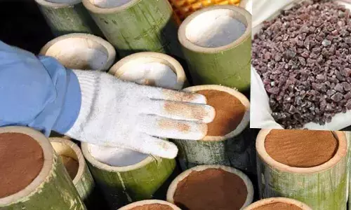 వామ్మో.. పావు కిలో ఉప్పు రూ.7500.. ఎందుకంతా కాస్ట్లీ గురూ!