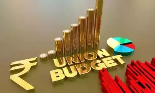 Indian Budget Interesting Facts: ఫస్ట్‌  బ్లాక్‌ బడ్జెట్‌ ఇన్‌ ఇండియన్‌ హిస్టరీ.. బడ్జెట్‌ గురించి ఆసక్తికర విషయాలు