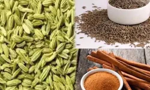 Health Tips : అజీర్తితో కడుపులో గడబిడా?.. ఈ చిట్కాలతో క్షణాల్లో రిలీఫ్!