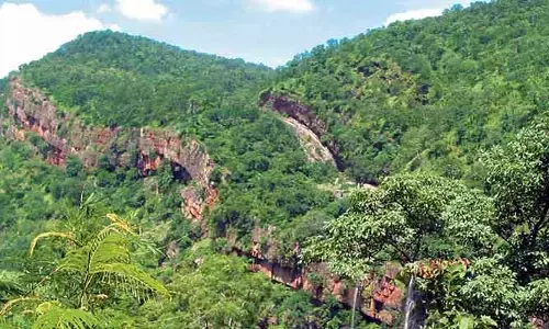అడవినీ, అడవీ జంతువులను కాపాడుకుందాం