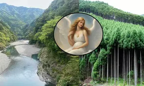 God Forest : దేవతలు నడయాడిన అడవి నేల.. మహిమ గలదా?