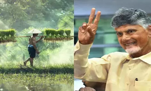గుడ్ న్యూస్.. రైతు భరోసా పై సీఎం చంద్రబాబు కీలక ప్రకటన
