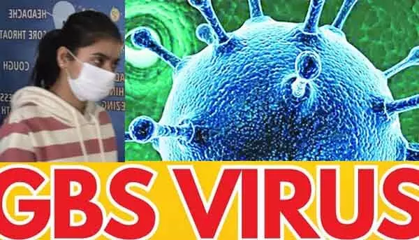 GBS Virus : జీబీఎస్ వైరస్ అటాక్..పెరుగుతున్న మరణాలు GBS Virus : జీబీఎస్ వైరస్ అటాక్..పెరుగుతున్న మరణాలు