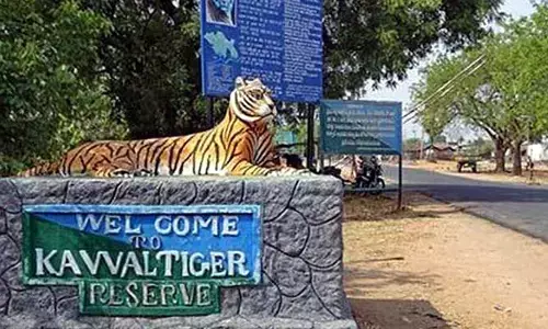 Big Alert : ఆ జిల్లాల వాసులకు బిగ్ అలెర్ట్.. దారులన్నీ మూసివేత