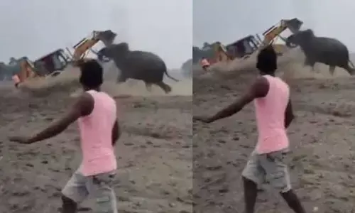Viral video: వామ్మో.. జేసీబీనే ఎత్తి పడేసిన ఏనుగు.. ఆ తర్వాత ఏమైందంటే?