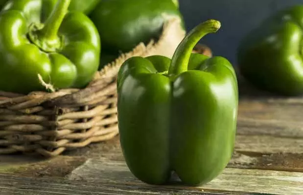 Nutrition : ఆ సమస్యలు వేధిస్తున్నాయా? క్యాప్సికం తినండి! Nutrition : ఆ సమస్యలు వేధిస్తున్నాయా? క్యాప్సికం తినండి!