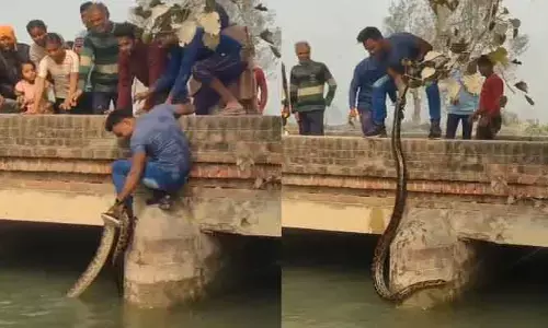 వీడే అసలైన బహుబలి.. ఒళ్లు గగుర్పొడిచే సాహసం చేసిన యువకుడు (వీడియో)
