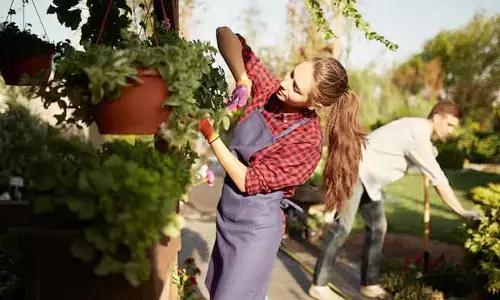 Gardening : గార్డెనింగ్‌‌తో ఆనందం.. ఆరోగ్యం.. ఇంకా..