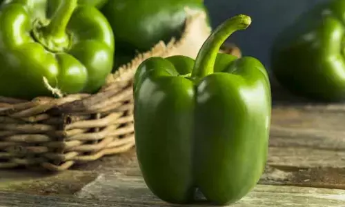 Nutrition : ఆ సమస్యలు వేధిస్తున్నాయా? క్యాప్సికం తినండి!