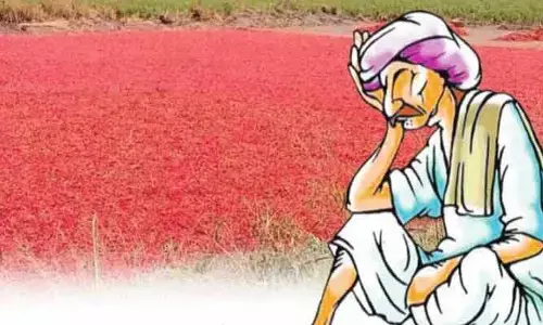 భారీగా పడిపోయిన మిర్చి ధర.. తాలుకంటే అసలే అధ్వానం