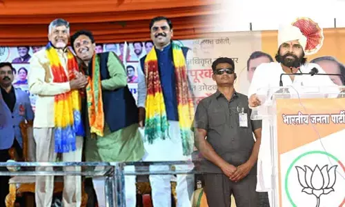 ఢిల్లీలో చంద్రబాబు .. మహారాష్ట్రలో పవన్