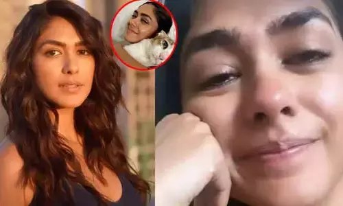Mrunal Thakur: మృణాల్ ఠాకూర్ ఇంట్లో తీవ్ర విషాదం.. నిన్ను ఎప్పటికీ మర్చిపోలేనంటూ ఎమోషనల్ పోస్ట్