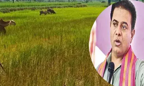 KTR : కాంగ్రెస్ పాలనలో మళ్లీ కరువు ఛాయలు : కేటీఆర్