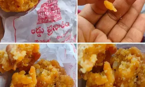 Vijayawada:కనకదుర్గ అమ్మవారి ప్రసాదంలో అపచారం.. స్పందించిన మంత్రి