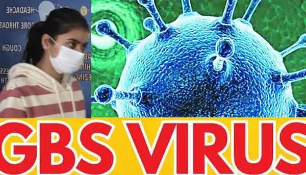 GBS Virus : పెరుగుతున్న జీబీఎస్ వైరస్ రోగుల మరణాలు GBS Virus : పెరుగుతున్న జీబీఎస్ వైరస్ రోగుల మరణాలు