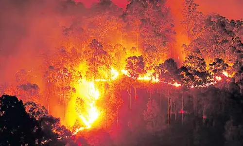 Forest Department: కార్చిచ్చుపై ఫారెస్ట్ డిపార్ట్‌మెంట్ ఫోకస్.. ప్రమాదాల కట్టడికి ప్రణాళికలు