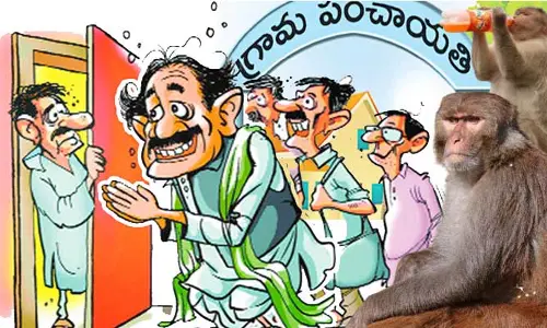 Local Body Elections: కోతులను తరిమేస్తావా.. అయితే మా ఓటు నీకే!