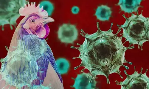 Bird Flu: ‘బర్డ్​ఫ్లూ’పై సర్కార్ అలర్ట్.. బార్డర్లలో చెక్‌పోస్టుల ఏర్పాటు​
