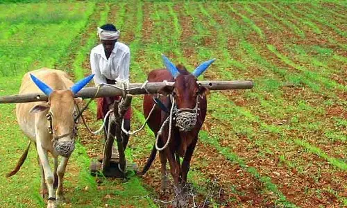 PM Kisan Maandhan Yojana: ప్రతి నెలా రైతులకు రూ. 3000 పెన్షన్.. ఎలా అప్లై చేసుకోవాలంటే?