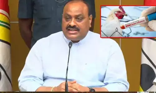 రాష్ట్రంలో బర్డ్ ఫ్లూ కలకలం.. మంత్రి అచ్చెన్న కీలక ప్రకటన