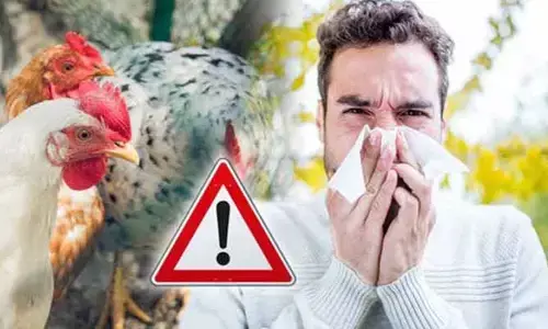 BIG Alert: తెలుగు రాష్ట్రాల ప్రజలకు బిగ్ అలర్ట్.. మనిషికి సోకిన బర్డ్ ఫ్లూ వైరస్