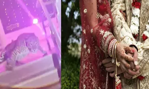 Video Viral:వివాహ వేడుకలో చిరుత హల్‌చల్.. వధూవరులు ఏం చేశారో తెలిస్తే షాకవ్వాల్సిందే!