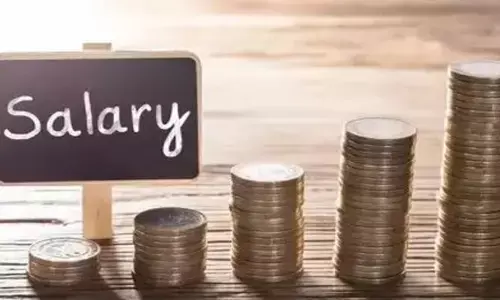 Salary Hike: ఈ ఏడాది 40 శాతం పెరగనున్న ప్రొఫెషనల్స్ జీతాలు