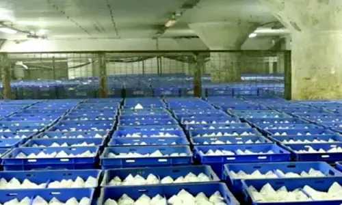 TG Dairy: త్వరలోనే ఆ బిల్లులు కూడా క్లియర్ చేస్తాం
