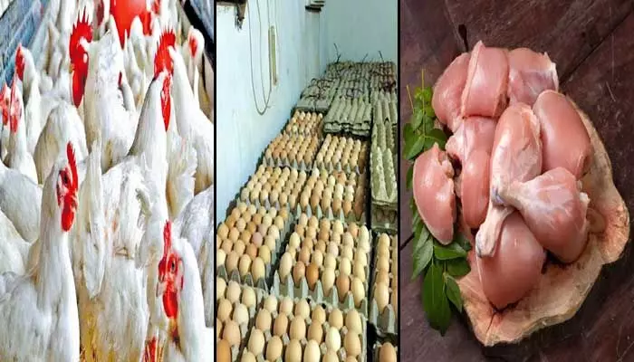 Chicken Lovers: చికెన్ లవర్స్కు షాక్! రాష్ట్రానికి చికెన్, గుడ్లు బంద్! Chicken Lovers: చికెన్ లవర్స్కు షాక్! రాష్ట్రానికి చికెన్, గుడ్లు బంద్!