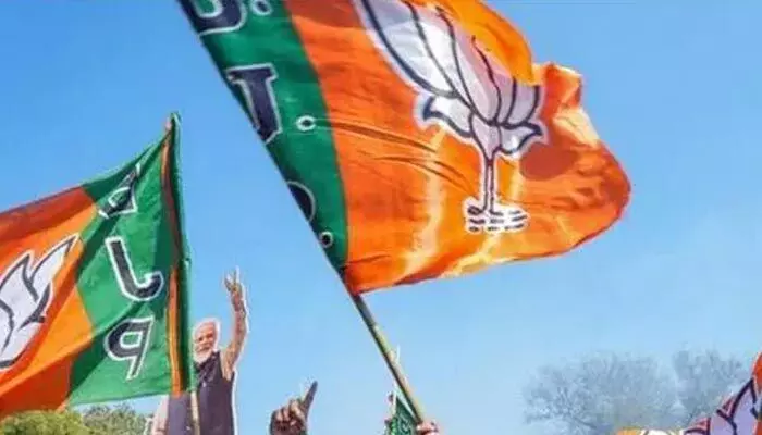 బీజేపీ మండలి అభ్యర్ధుల ప్రచారానికి ఢిల్లీ నేతలు బీజేపీ మండలి అభ్యర్ధుల ప్రచారానికి ఢిల్లీ నేతలు