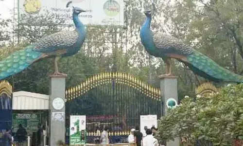 కేబీఆర్ పార్క్ చుట్టూ అండర్‌పాస్‌లు.. నెలాఖరులోగా టెండర్లు