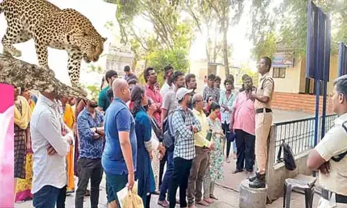 Tirumala : తిరుమలలో నడక మార్గంలో భద్రతా ఆంక్షలు !