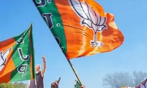 బీజేపీ మండలి అభ్యర్ధుల ప్రచారానికి ఢిల్లీ నేతలు